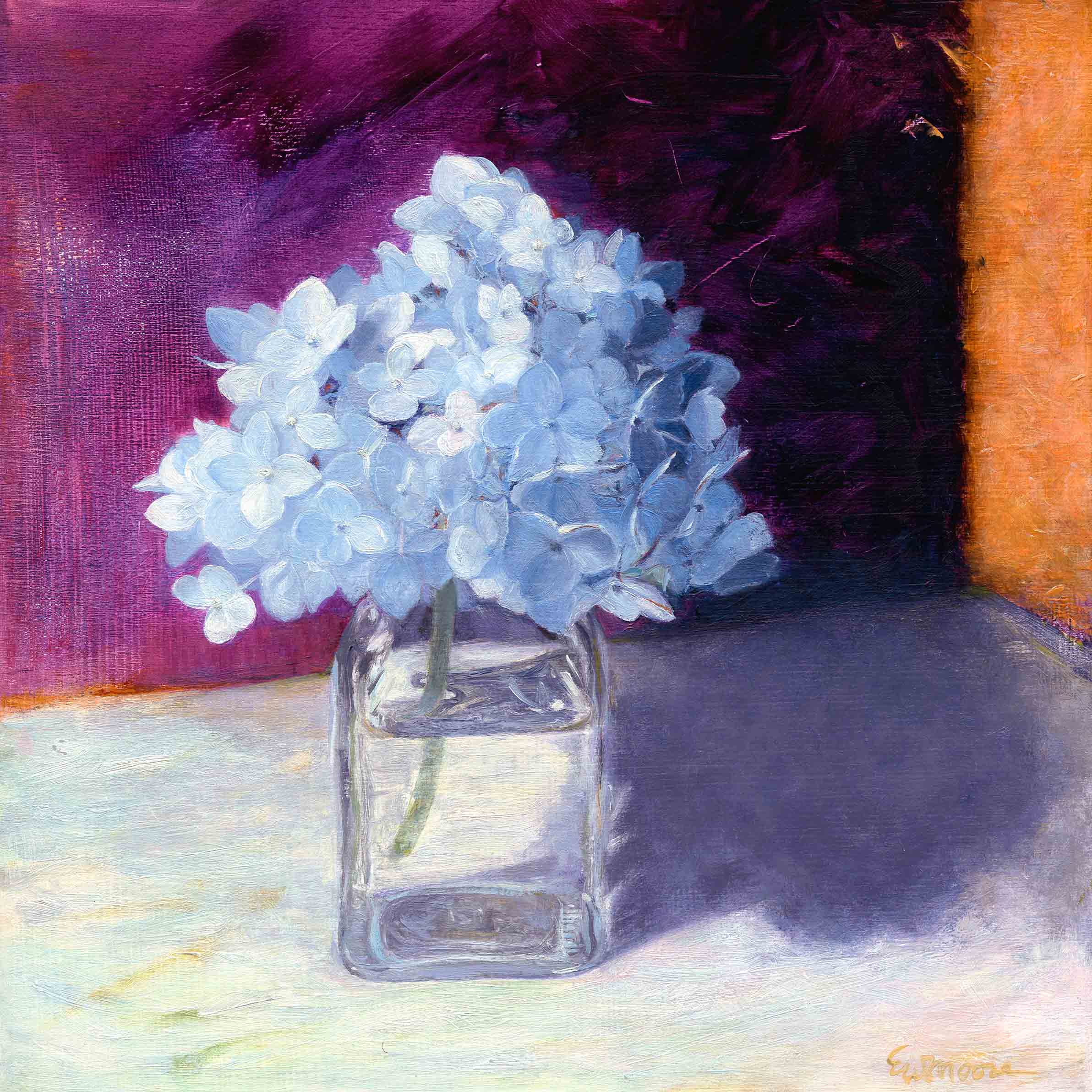 The Special Hydrangea