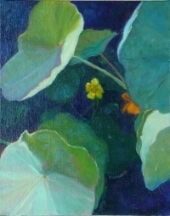 Nasturium - Looking On