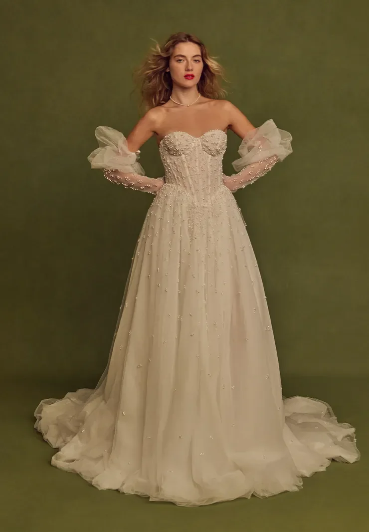 Idan Cohen Crown Princess.webp