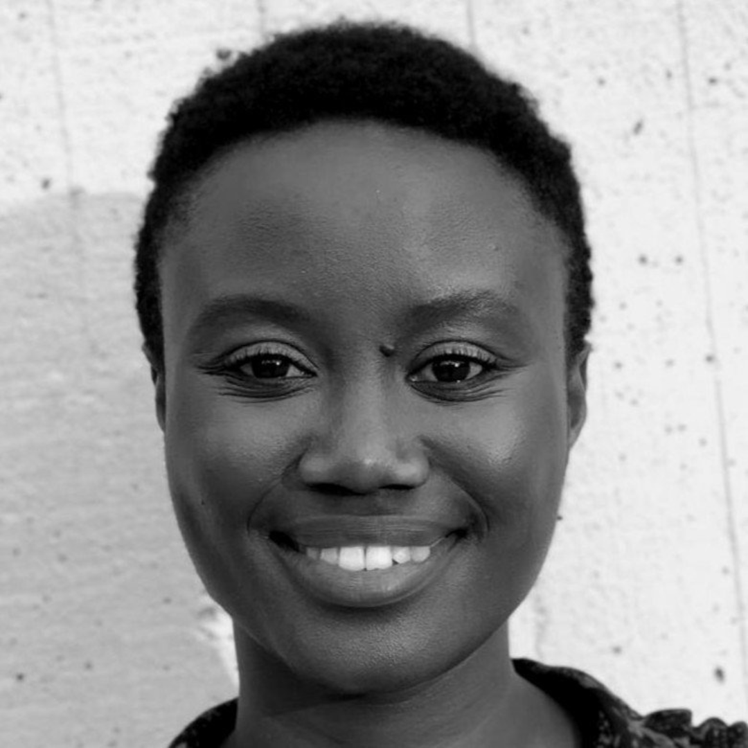 Operations Team — African Impact Initiative