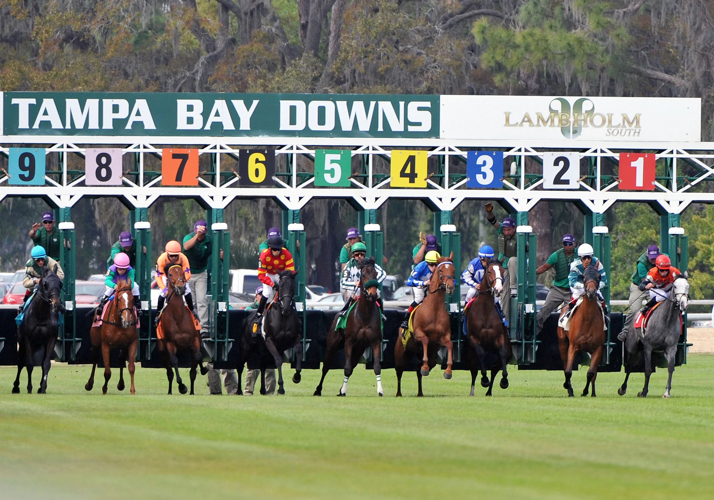 Tampa Bay Downs