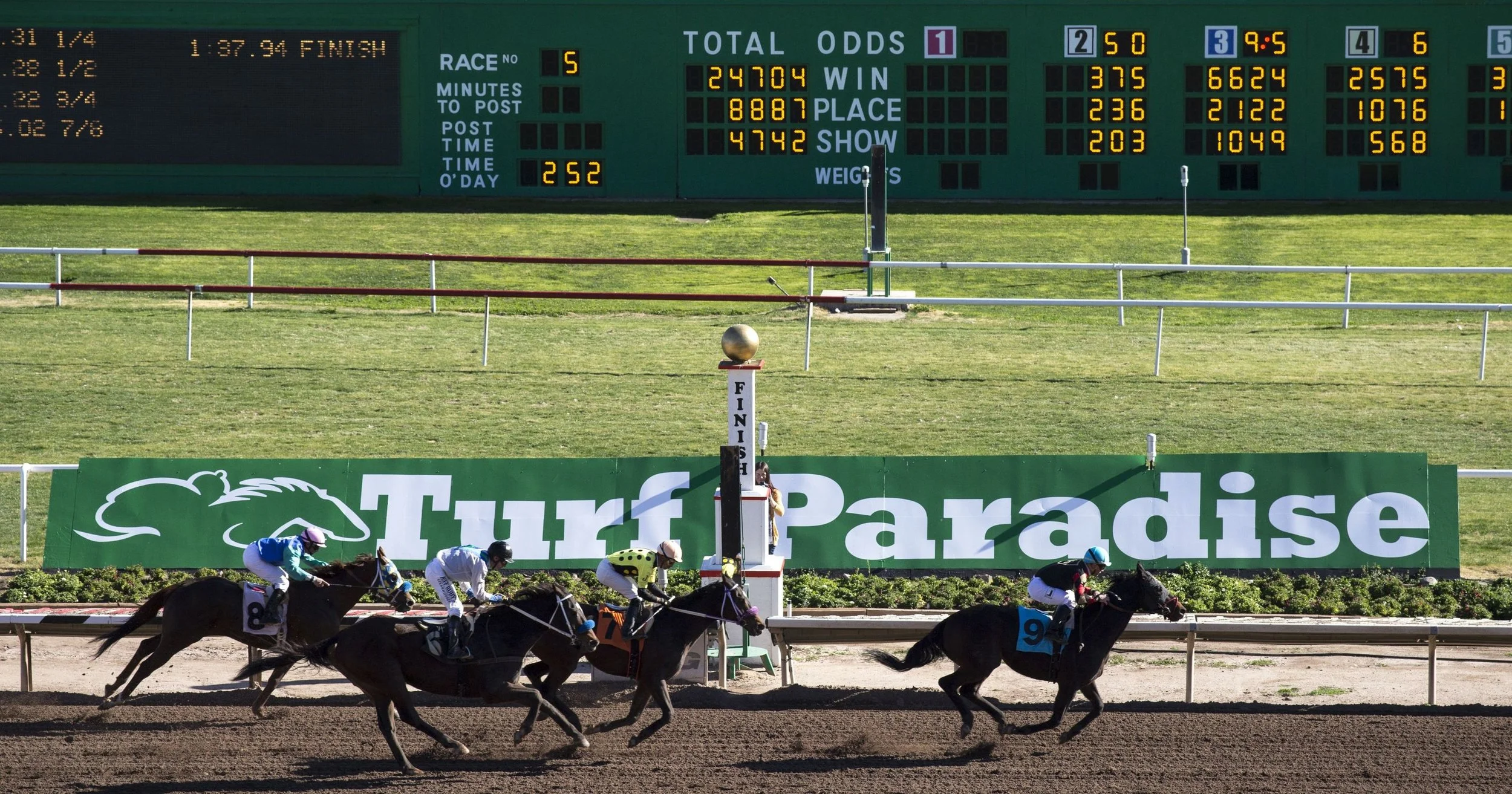 Turf Paradise