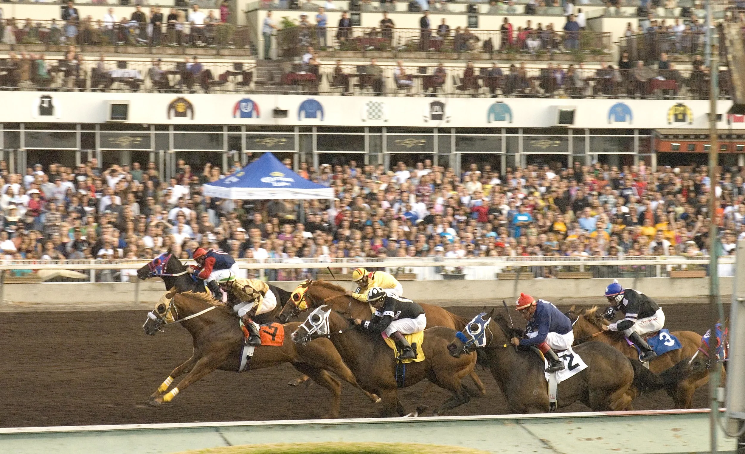 Los Alamitos Quarter Hourse