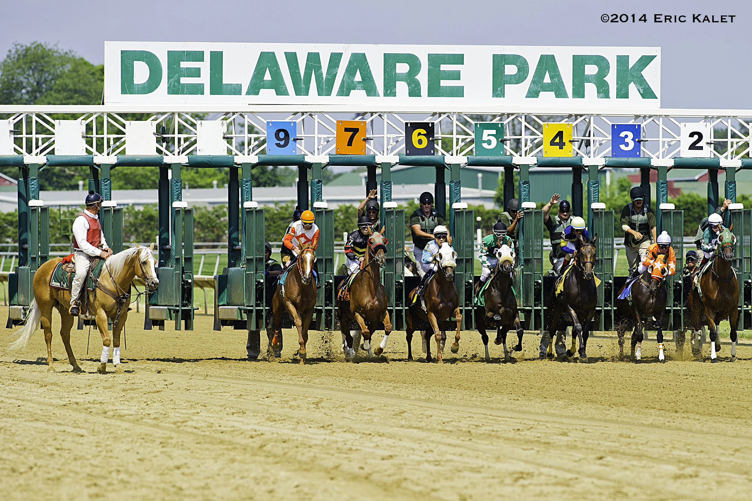 Delaware Park