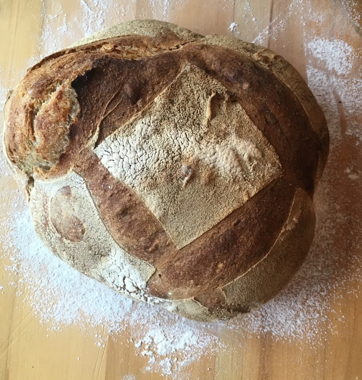 Bread (baked from ancient sourdough starter) by Natalie Stein