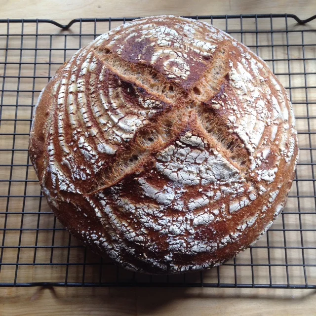 [Field Notes] Where do we start?