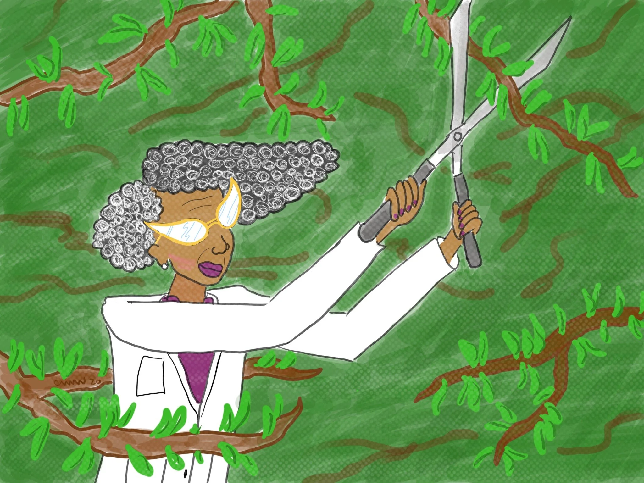 [Field Notes] Status Update: Pruning Trees