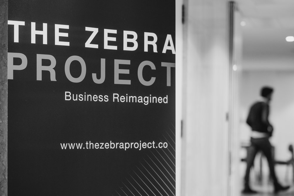 the-zebra-project_180118-283.jpg
