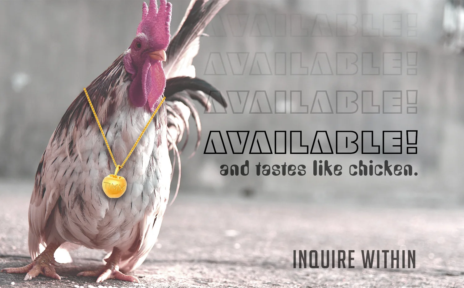 Available 4.jpg