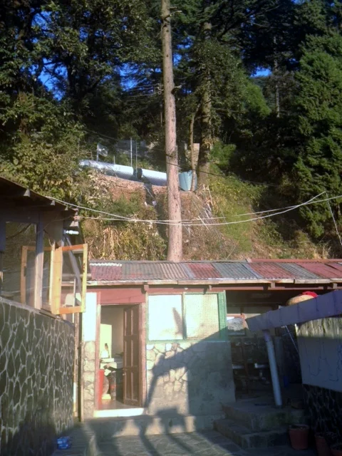 Emergency Roof Needed