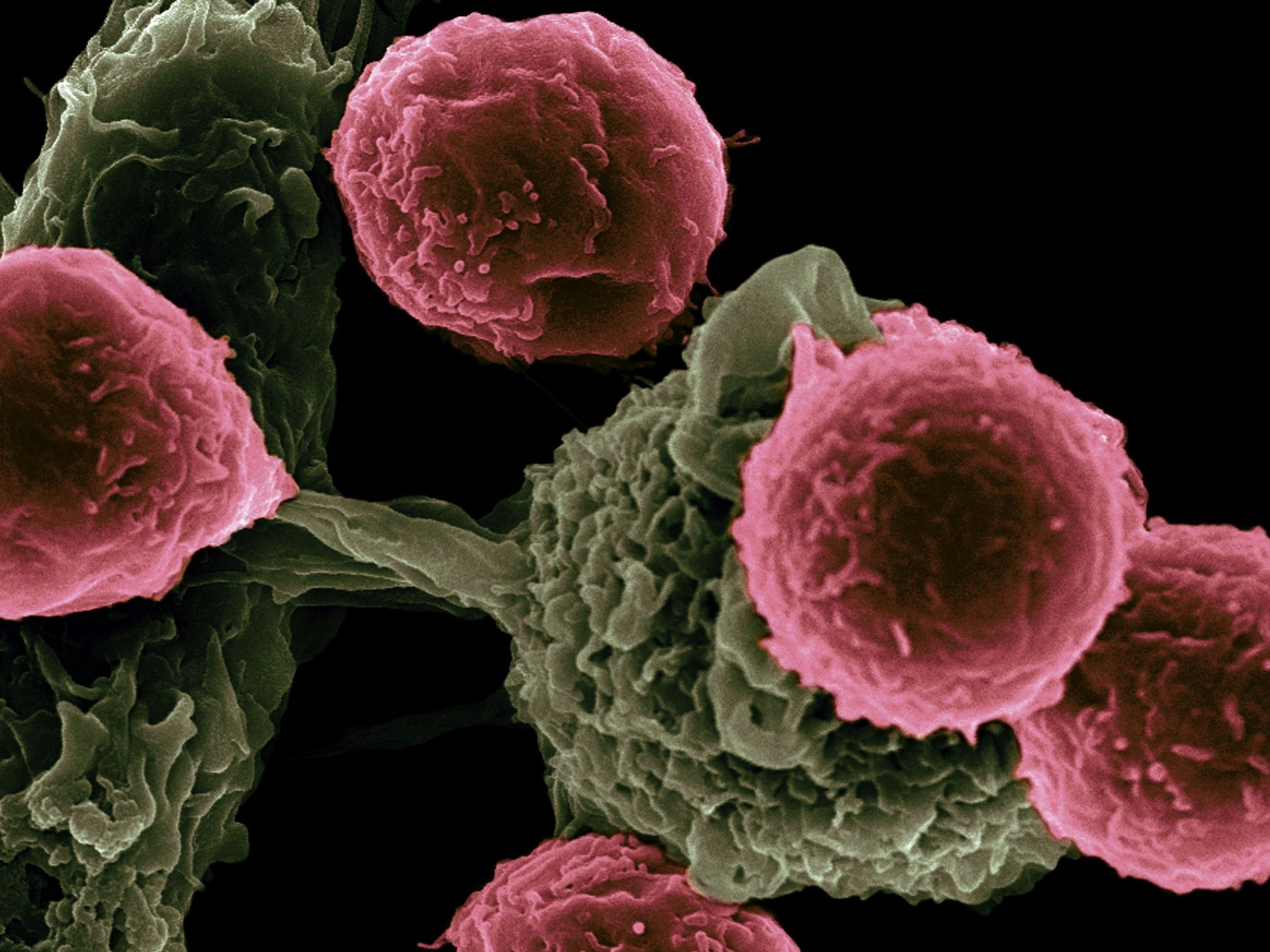 Cancer Drug Treatment for Christian Missionary