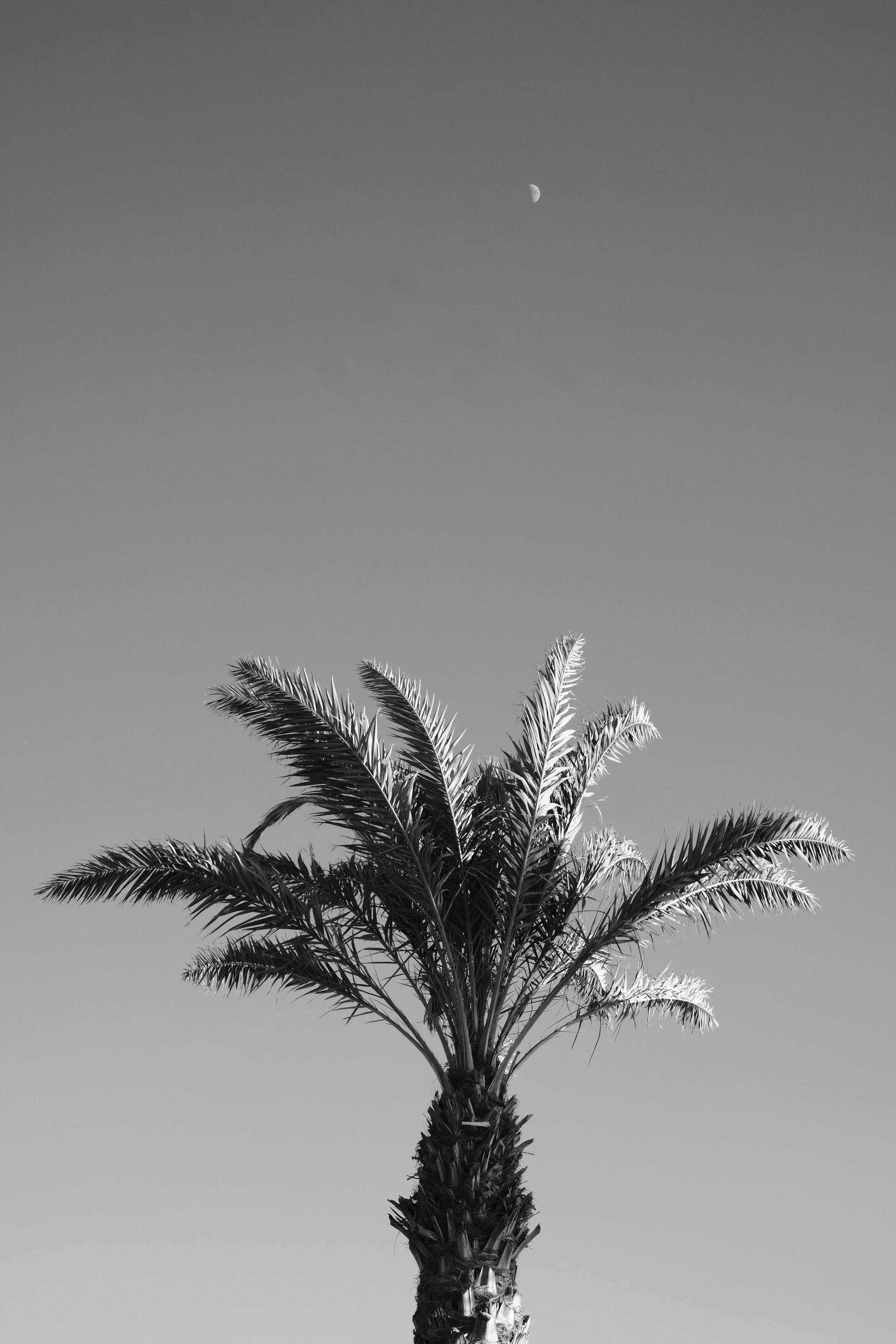 Crisis Relief for the Persecuted Church