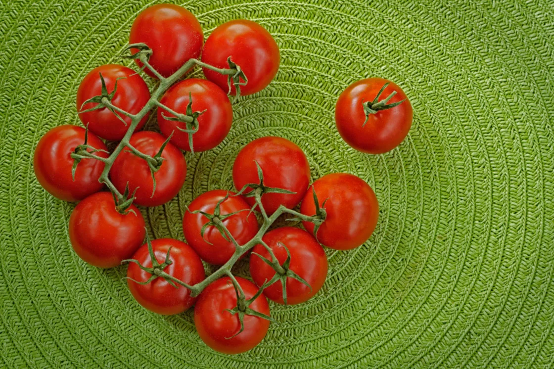 Tomato Line Up