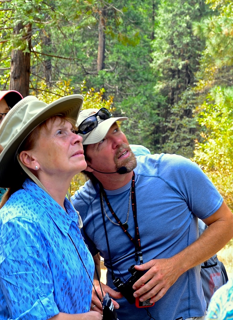 Spotting Rock Climbers At Yosemite