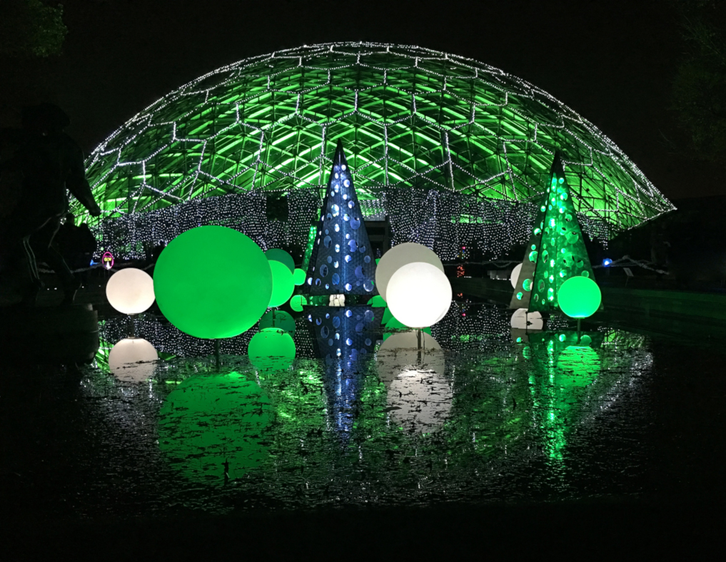St. Louis At Christmas