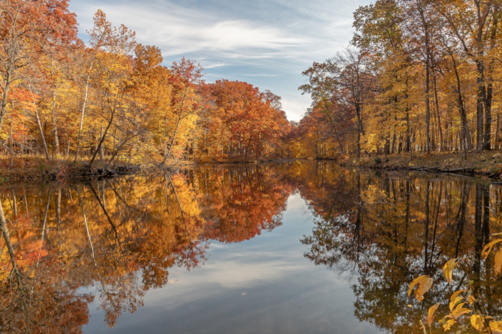 Walnut Point Reflection