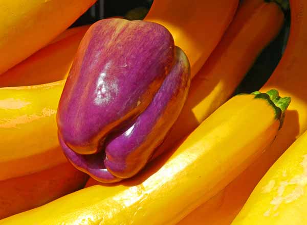 Farmers Market Colors; by Mary Cattell