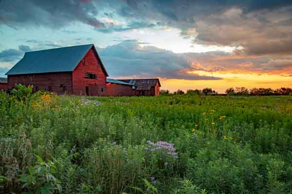 Allerton Barns; by Al Wehrmann