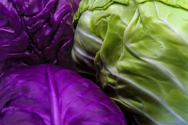 Cabbage HeadsTogether; by Martha Compton
