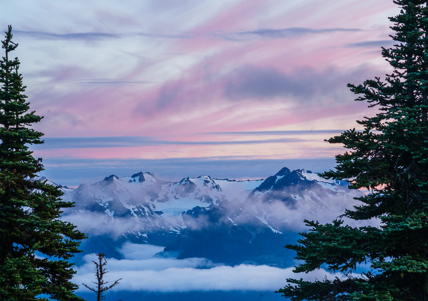 Honorable Mention: Olympic National Park Sunset