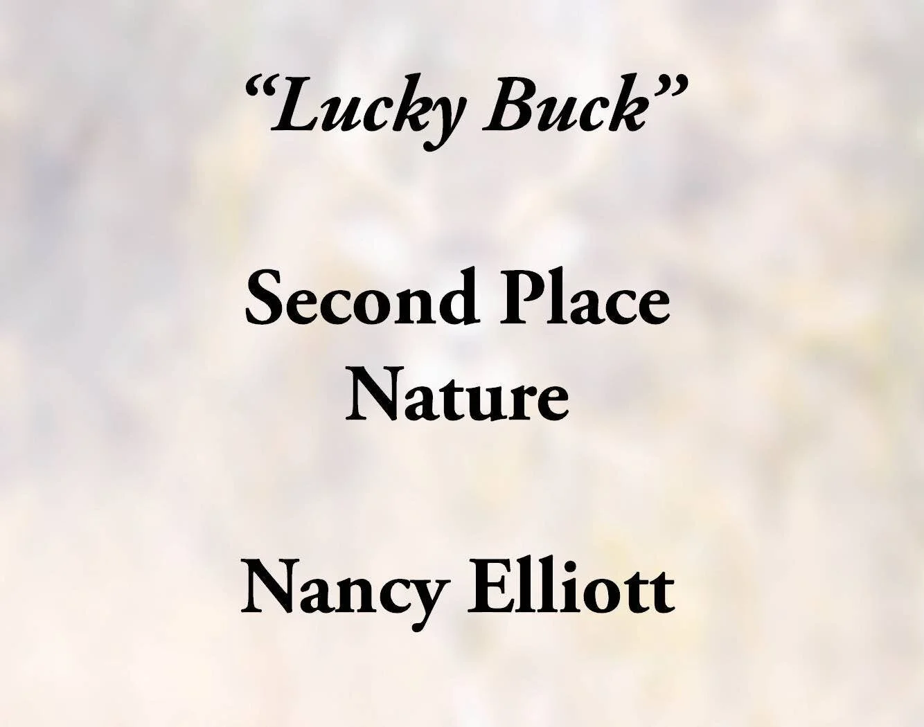 Nature_2b.JPG