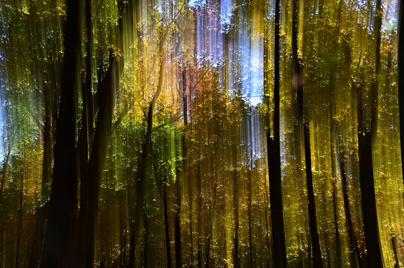  Honors, Walnut Point in Motion  Altered Reality  © Martha Compton 2022 