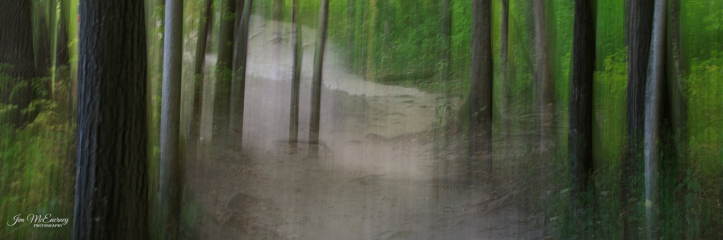  Trail Starved Rock IL  © Jim McEnerney 2022 