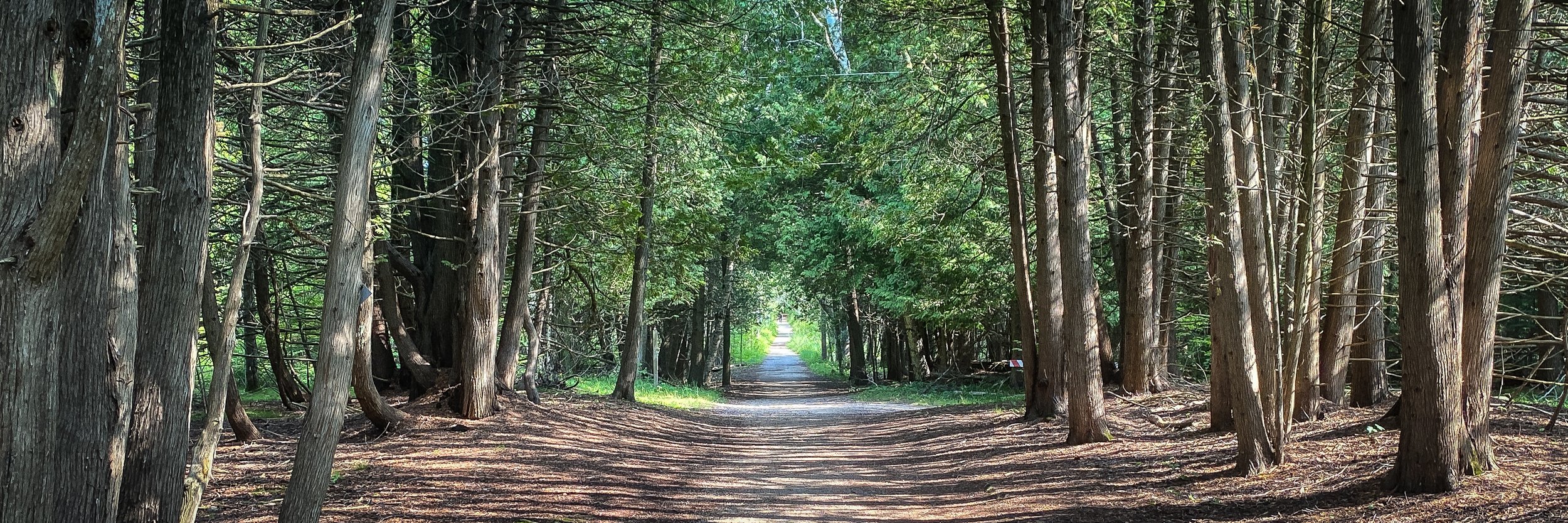 Cove Park State Park Wisconsin