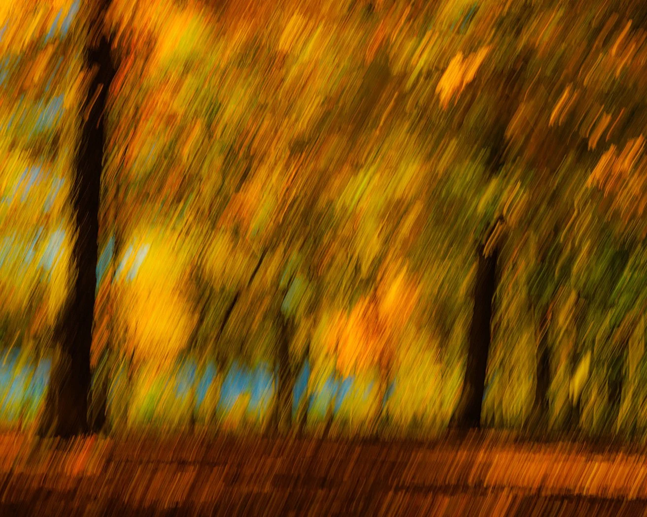 Accepted Creative Contemporary: Morning by the Lake © Ray Silva 2023