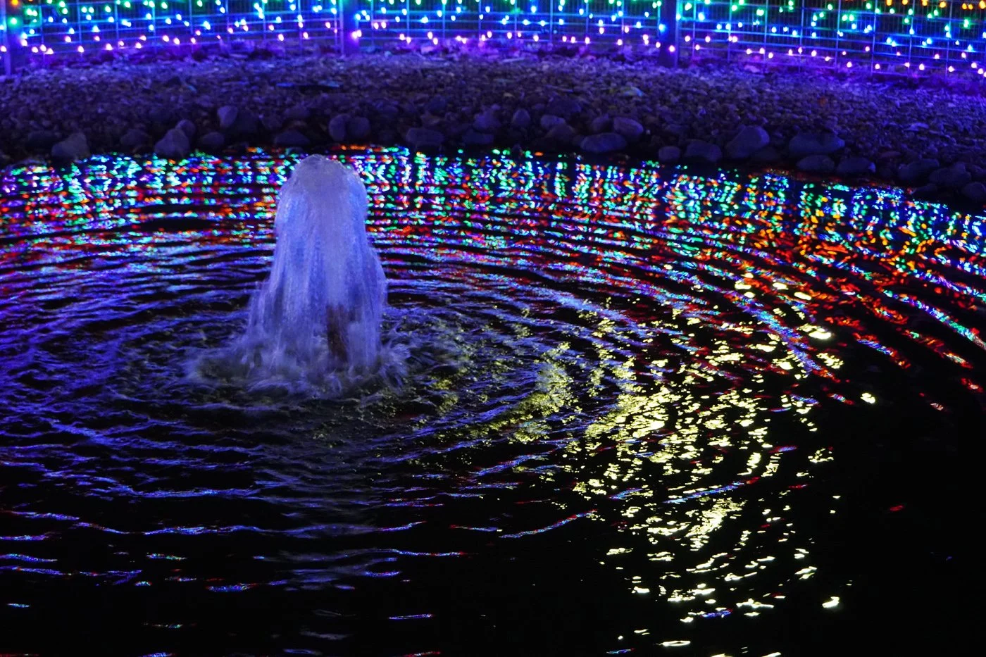 4 HolidayLights23-PrairieFarms - Mary Cattell.jpg