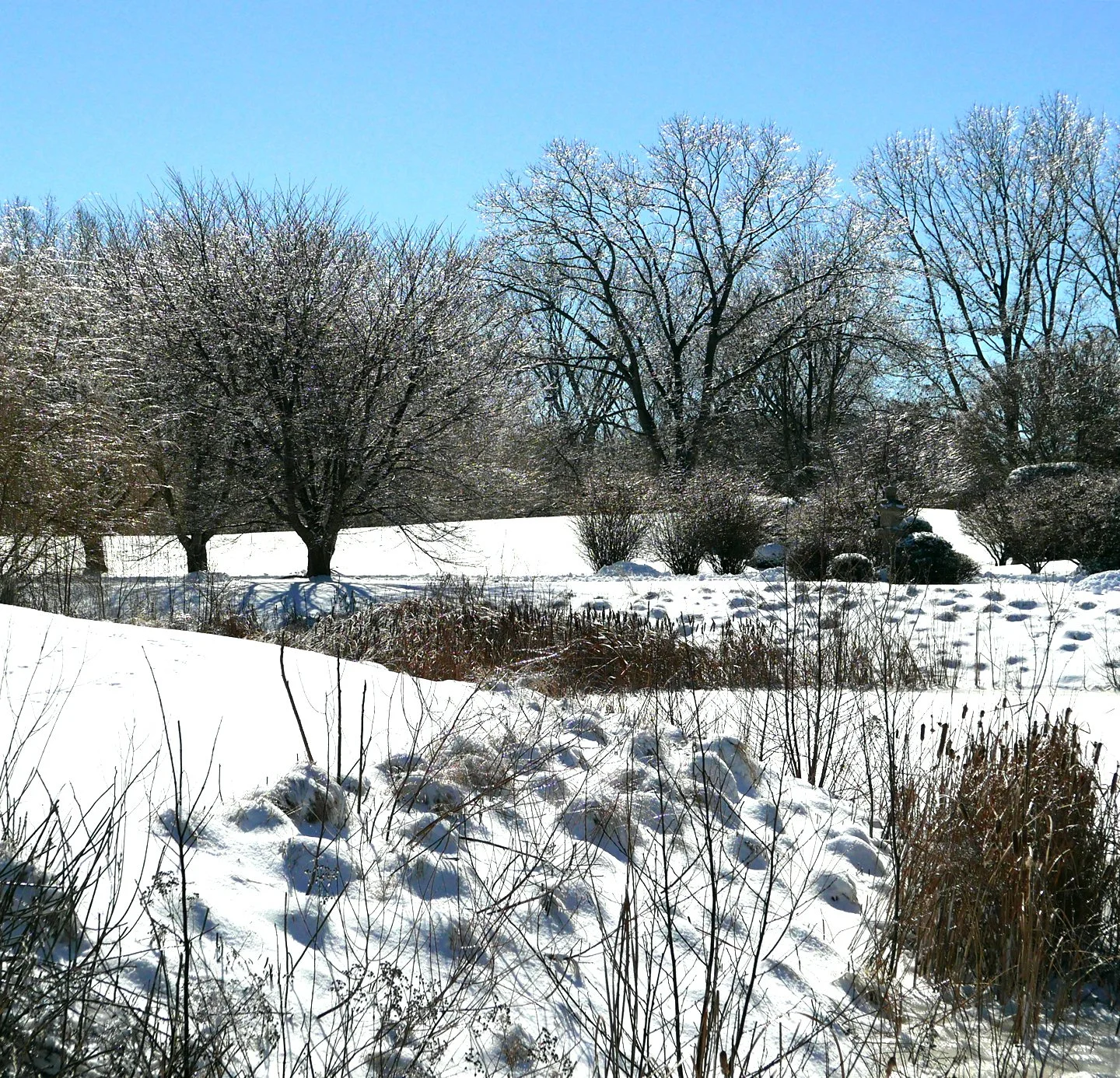 Japan House Winter - Lynne Rudasill