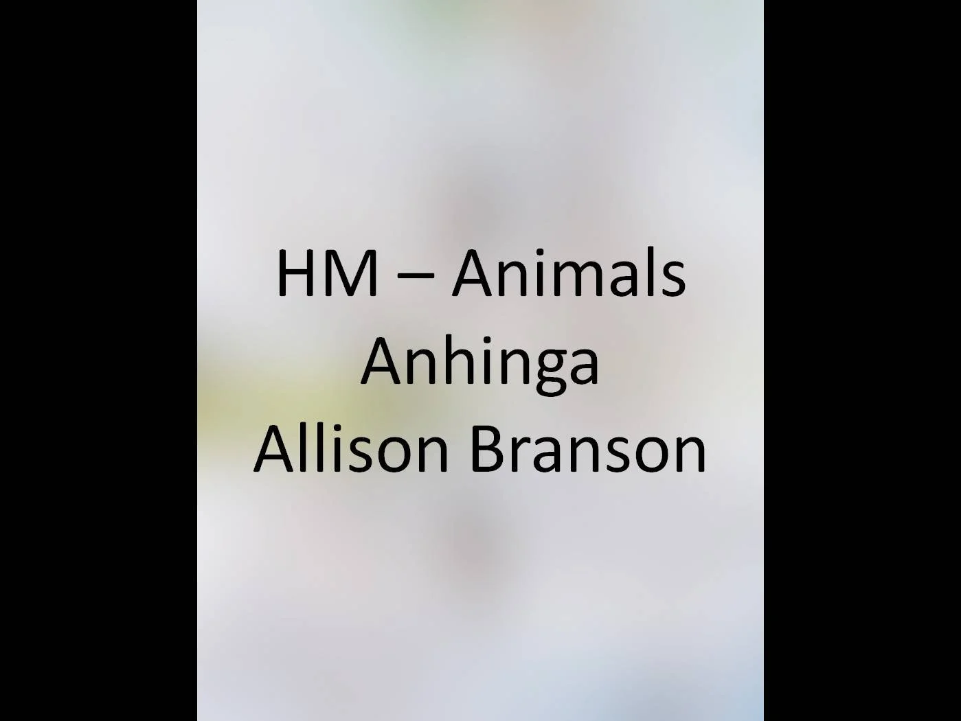 Animals_HM5a.jpg