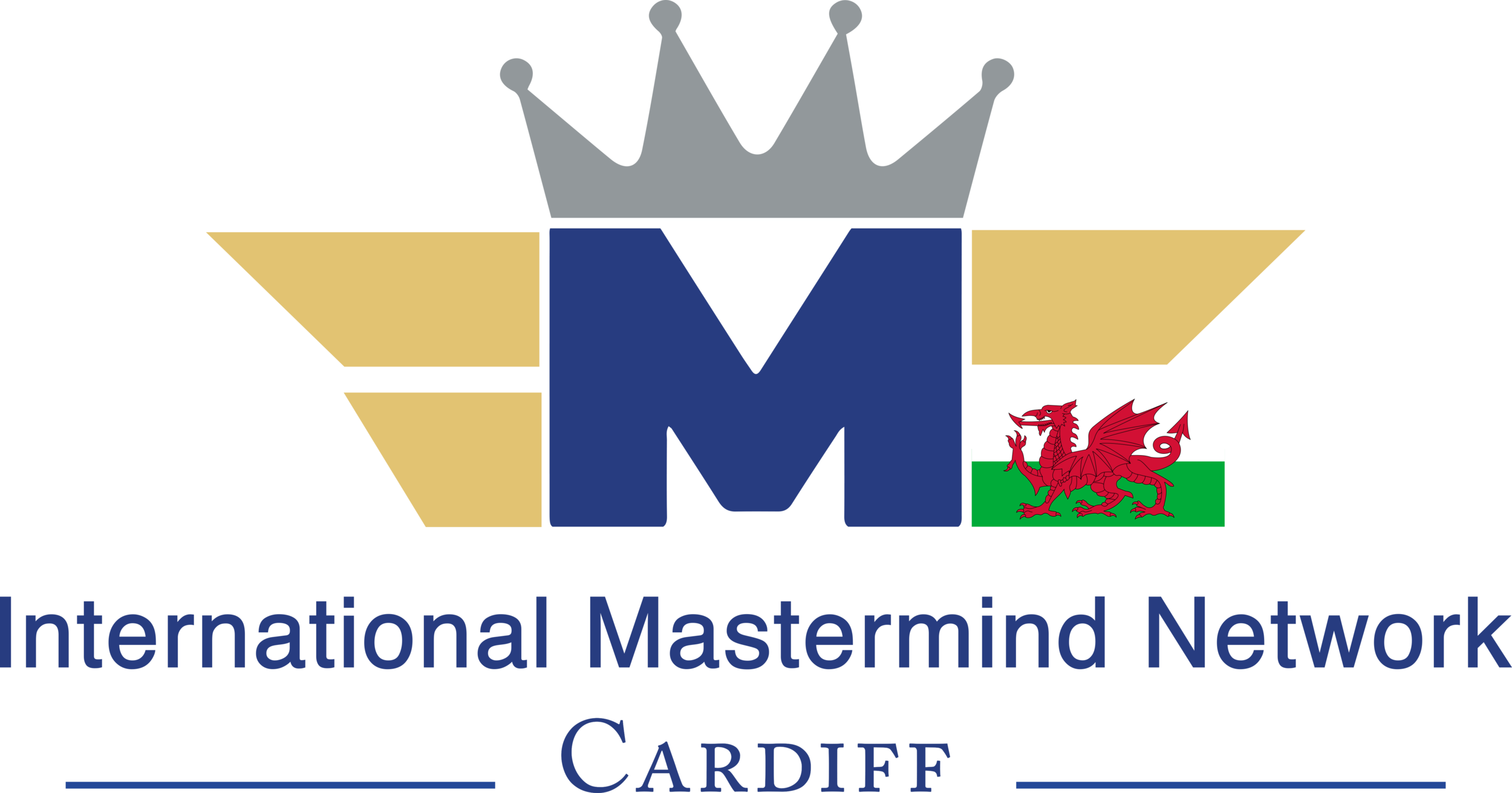IMN-Cardiff-Logo png.png