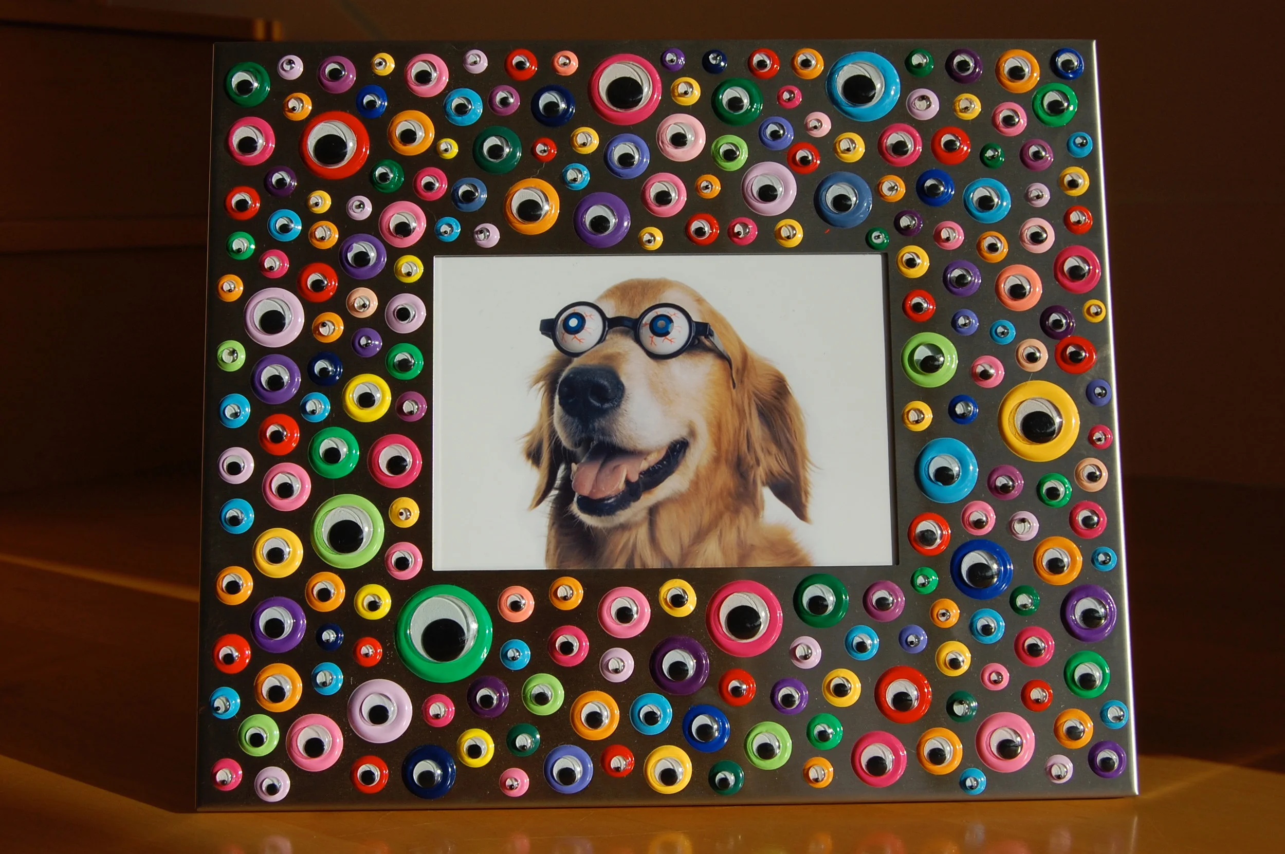 googlydoginframe2final.jpg