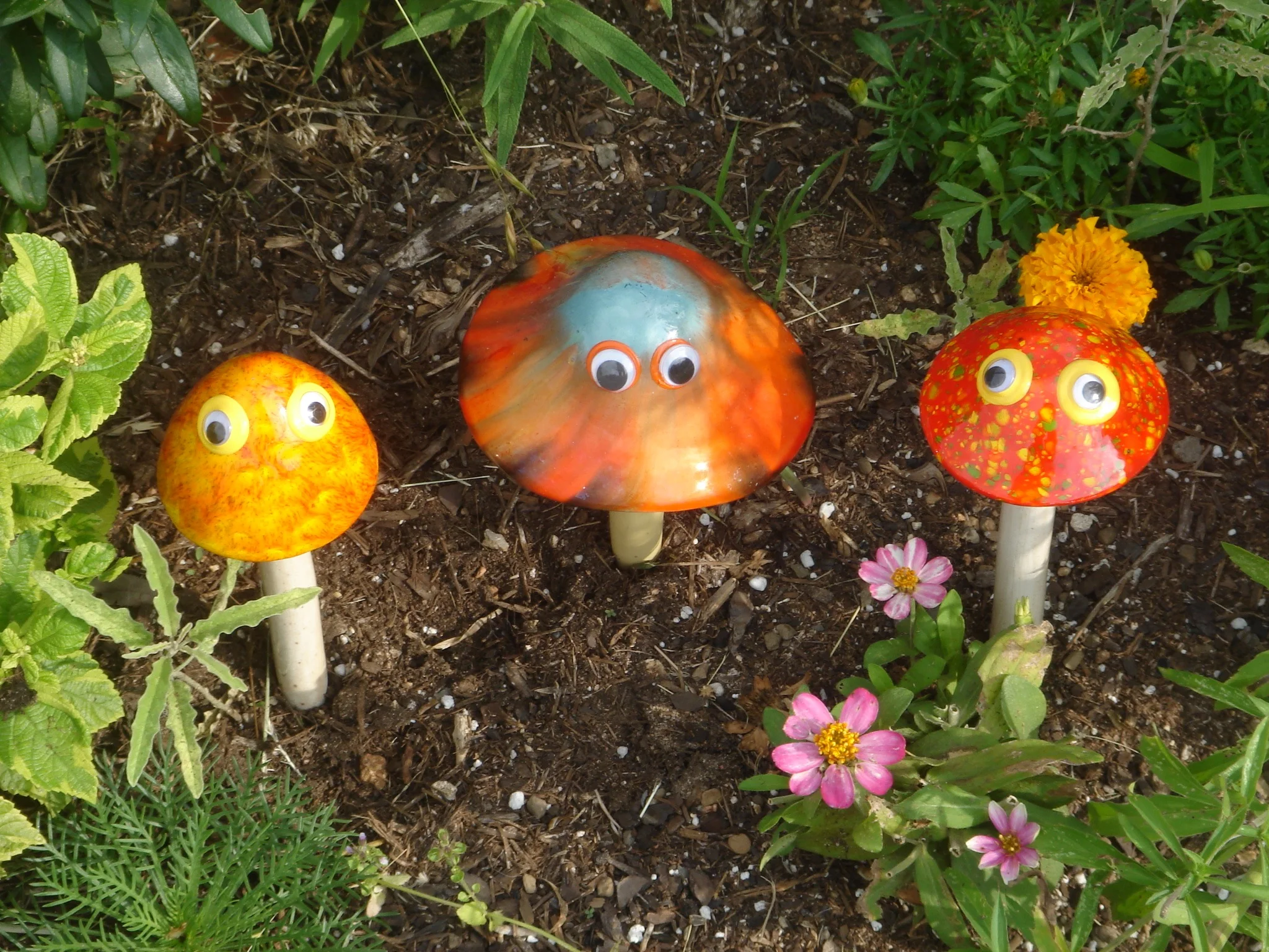 mushrooms.jpg