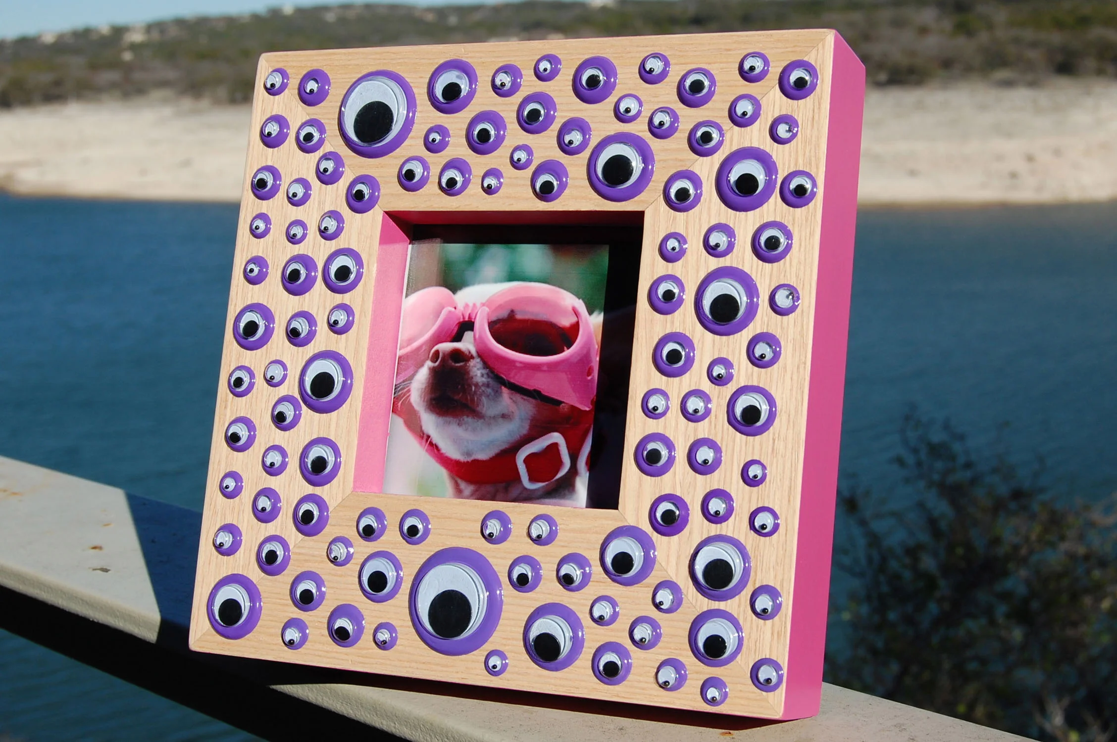 Googly Eye Frame - Pink, Wood, Purple