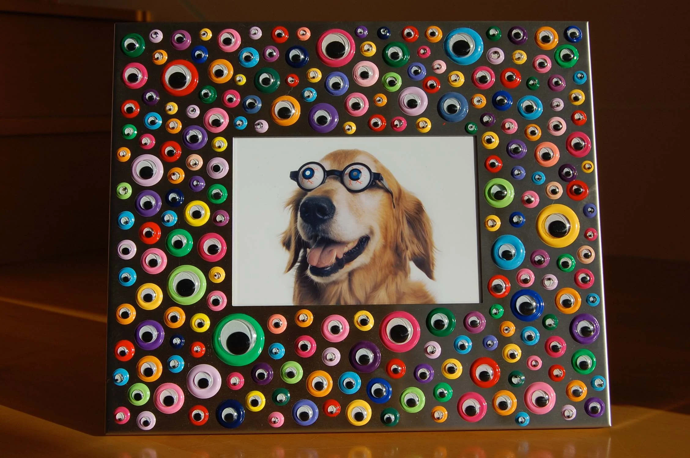 Googly Eye Frame - Metal