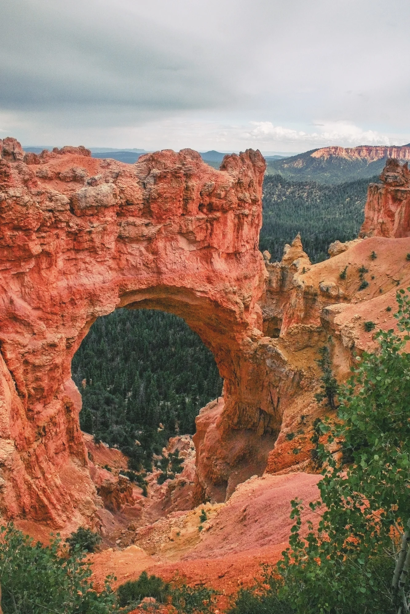 naturalbridge_bryce_2018.jpg