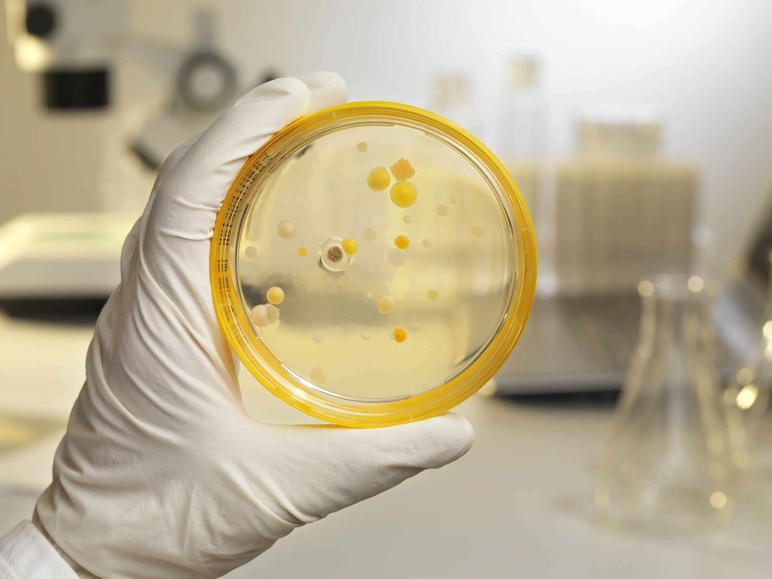 laboratory_beaker_03_hi-res.jpg