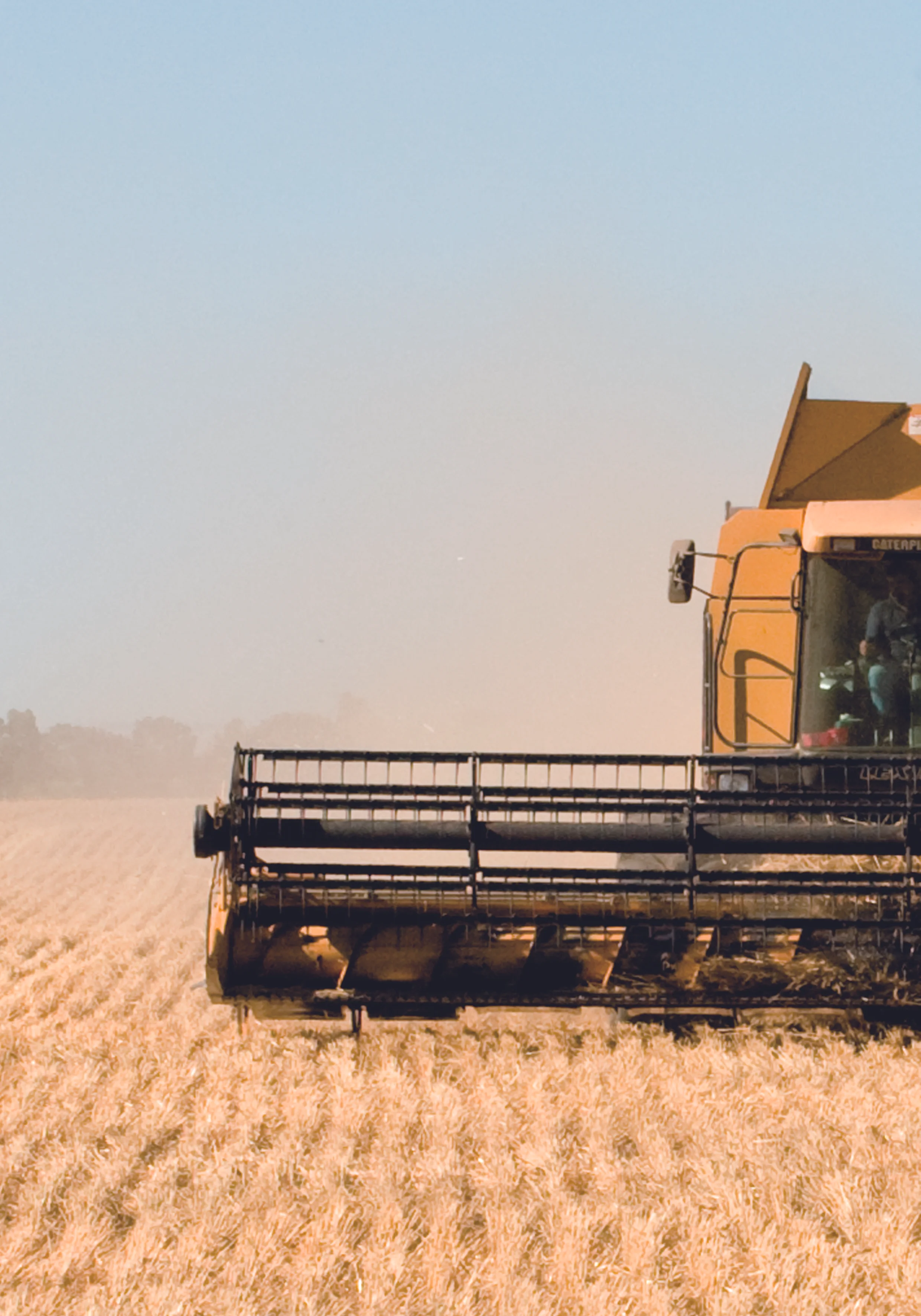 HY_Results_2010_AGRI.jpg