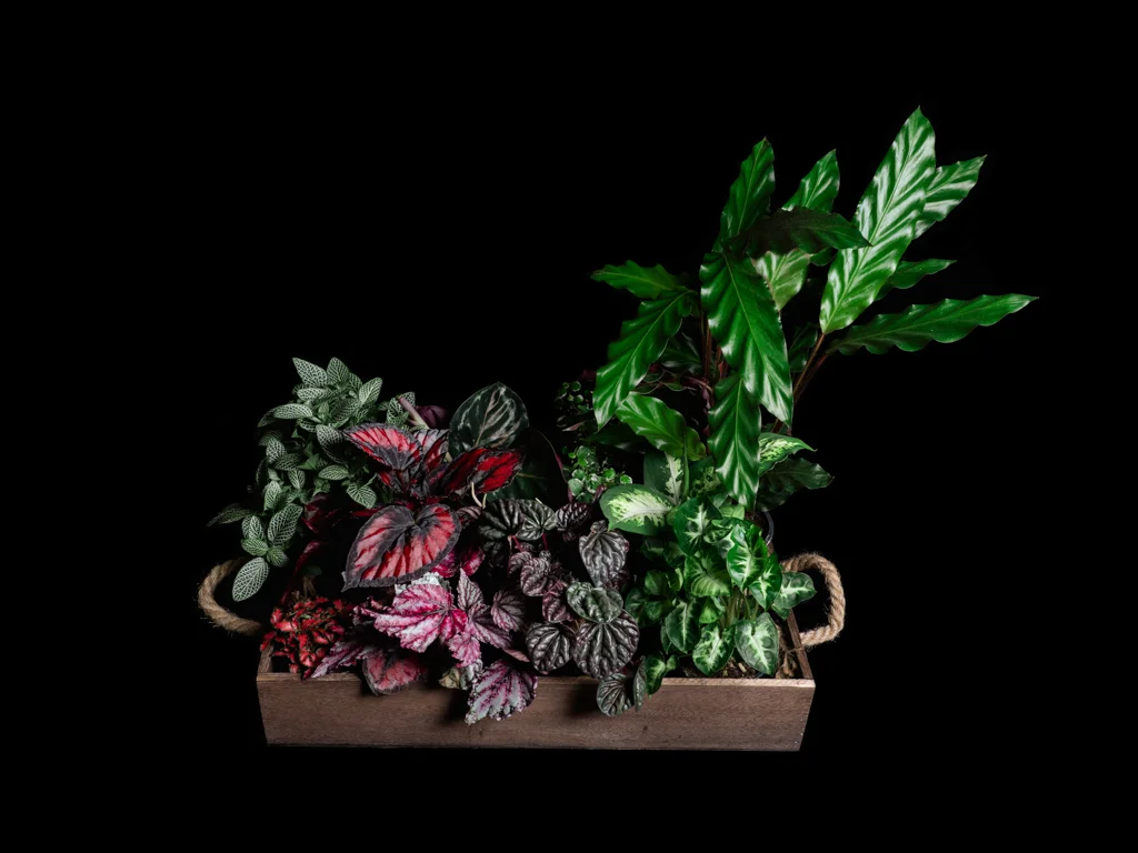 Flowers+Manuela-011.jpg