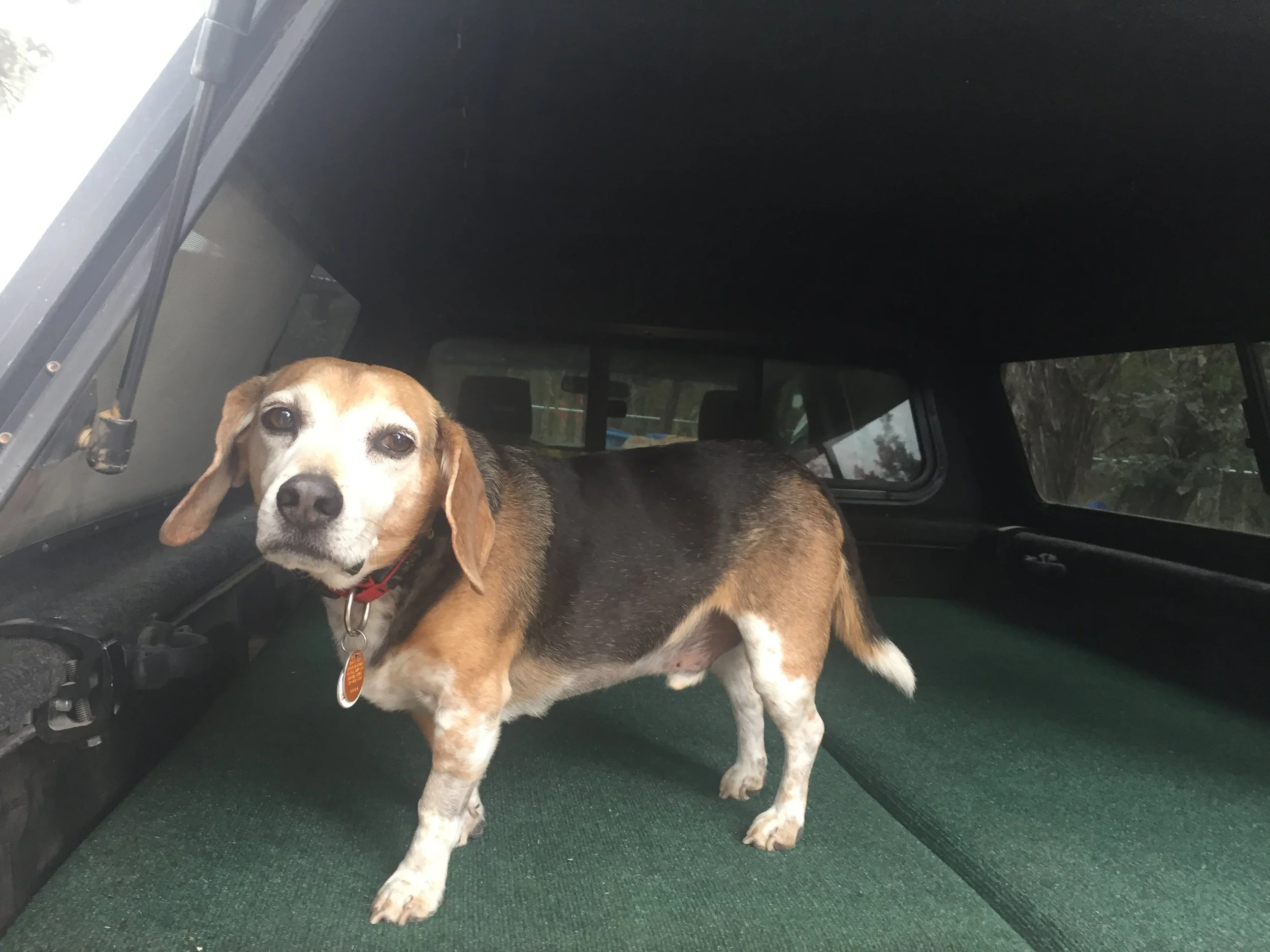 Making Things! A Platform Bed for our ‘06 Toyota Tacoma