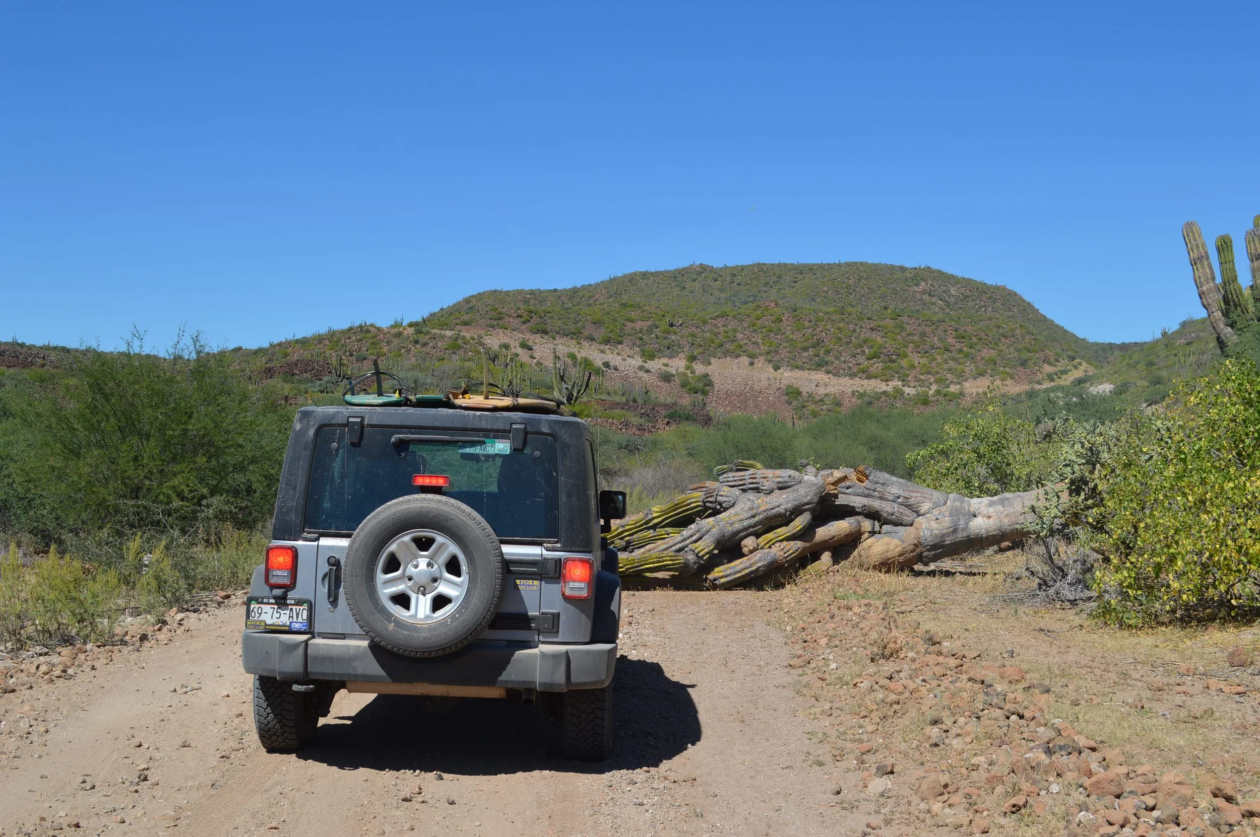 Adventure Travel: Worth the Risk