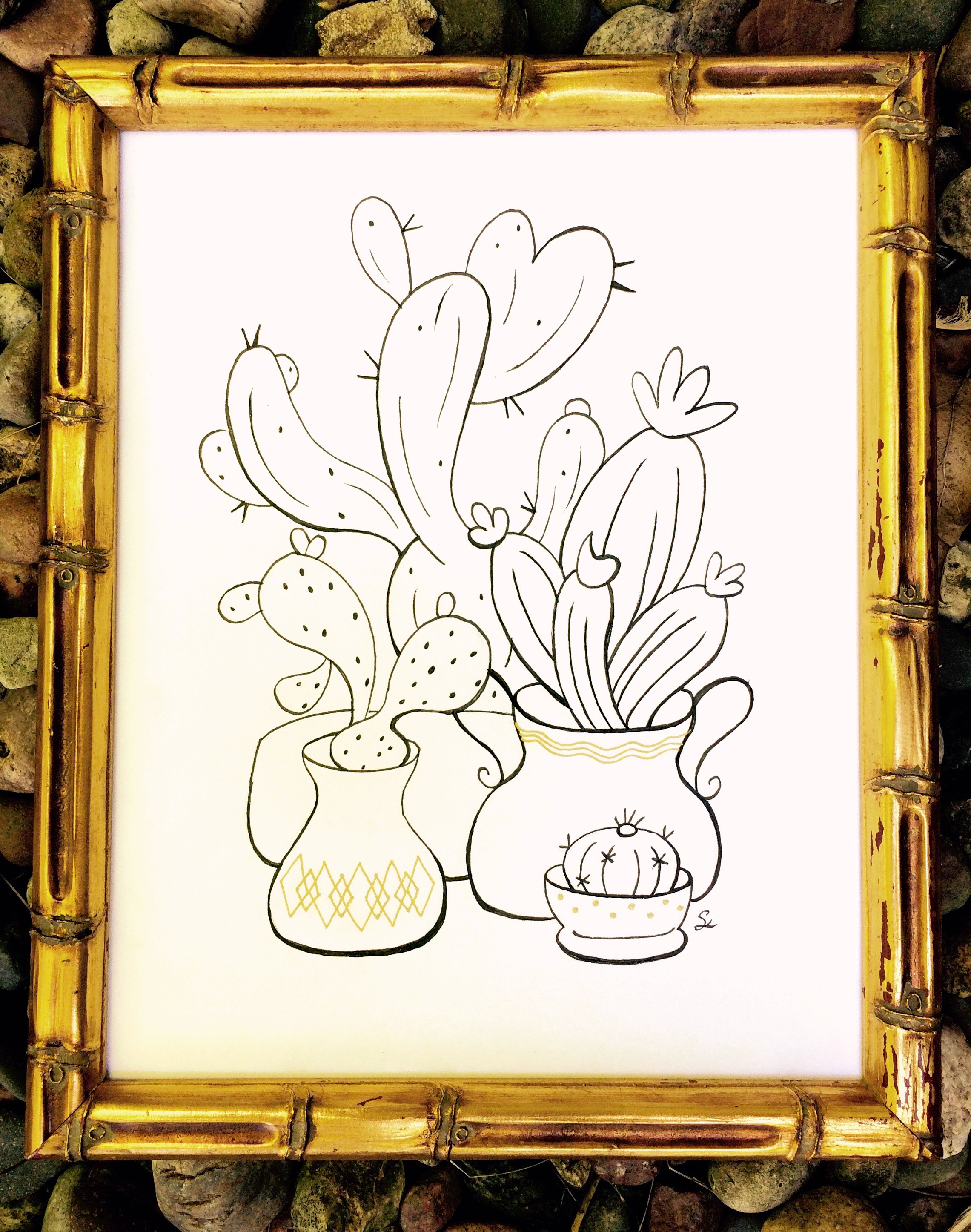 Potted Cacti
