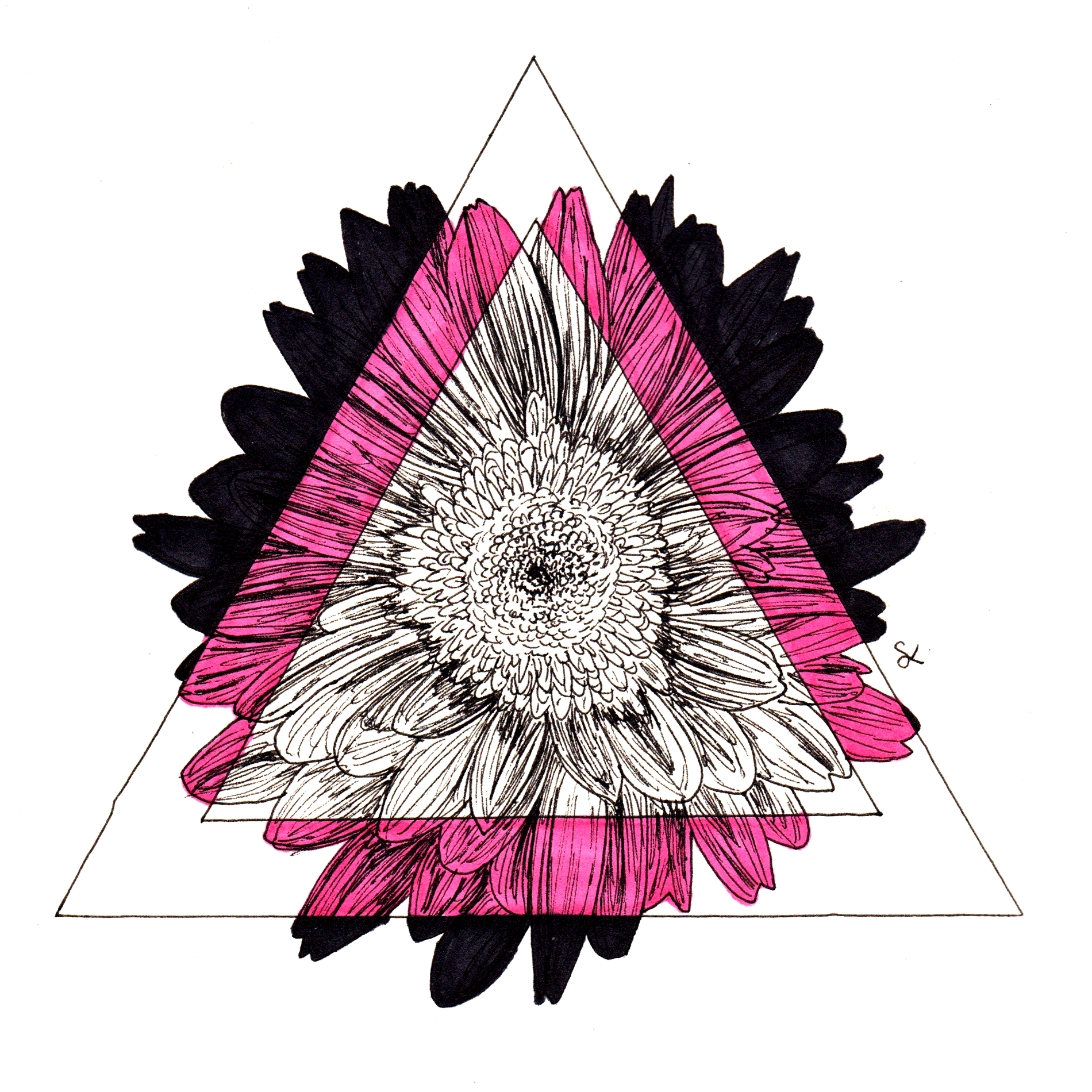 Triangle Flowers