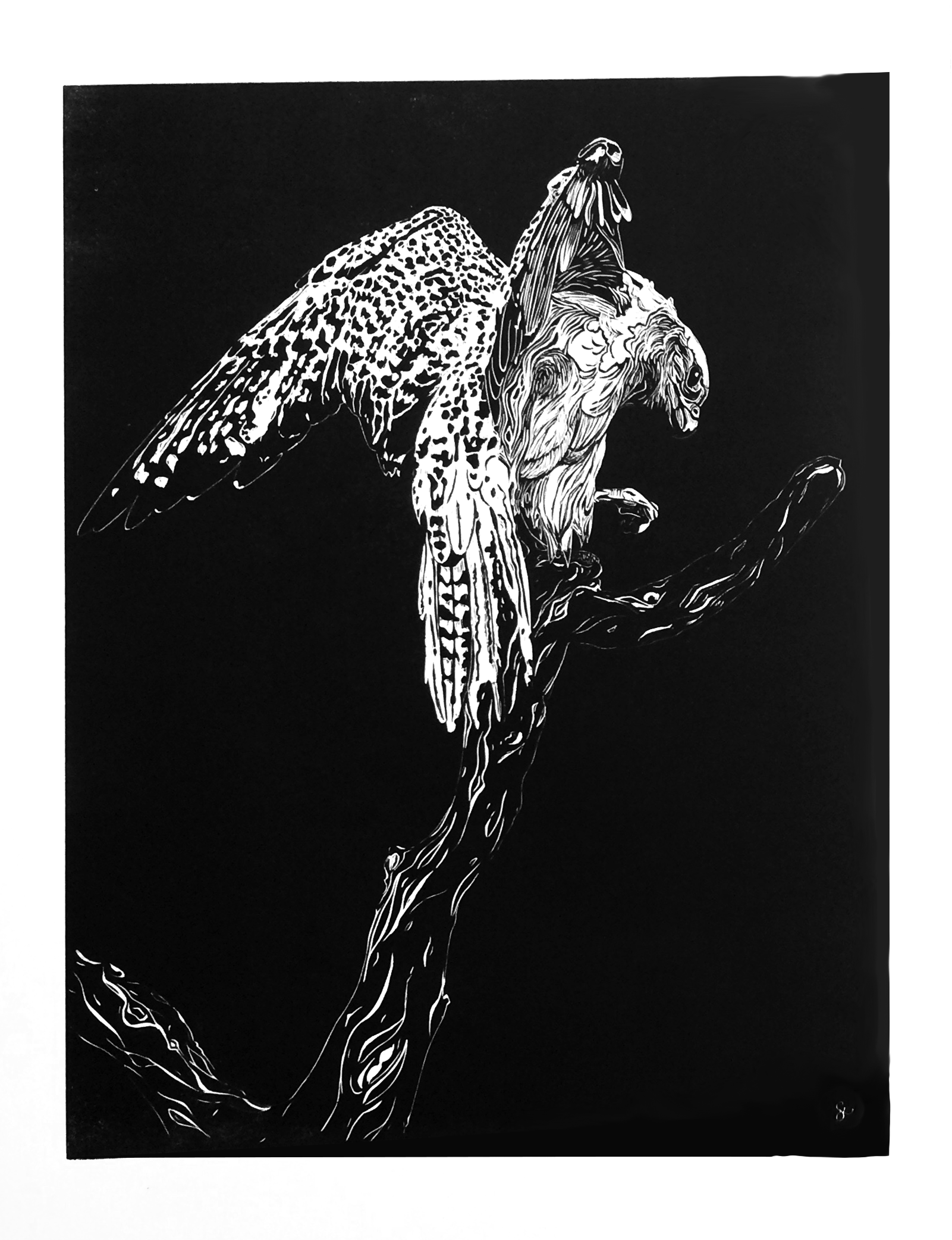 Wound Gyr: Black-Blue