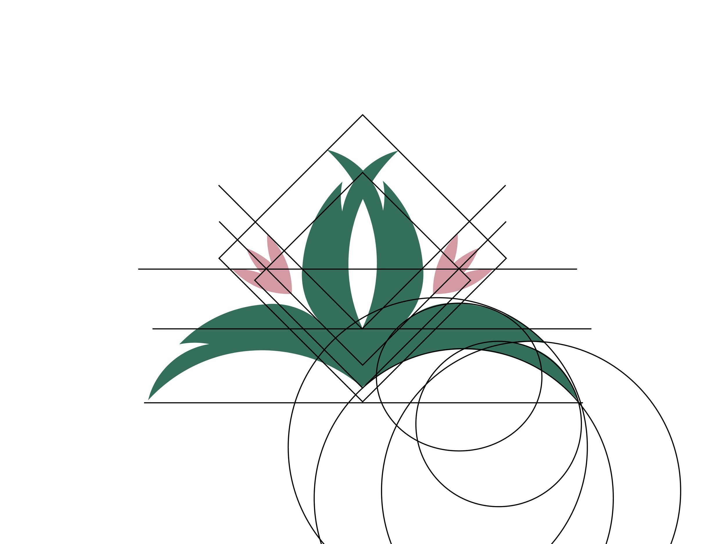 The-Botanic-Nursery-logo-progression-slide1.jpg