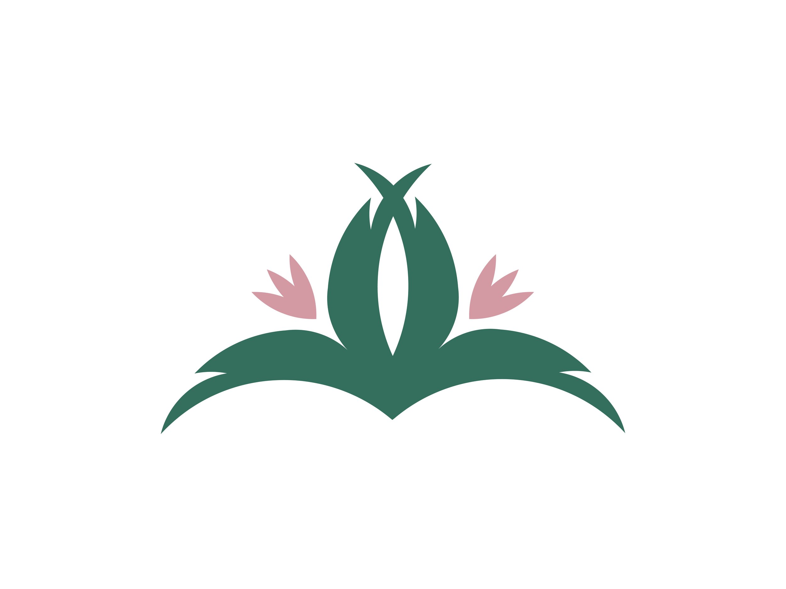 The-Botanic-Nursery-logo-progression-slide3.jpg