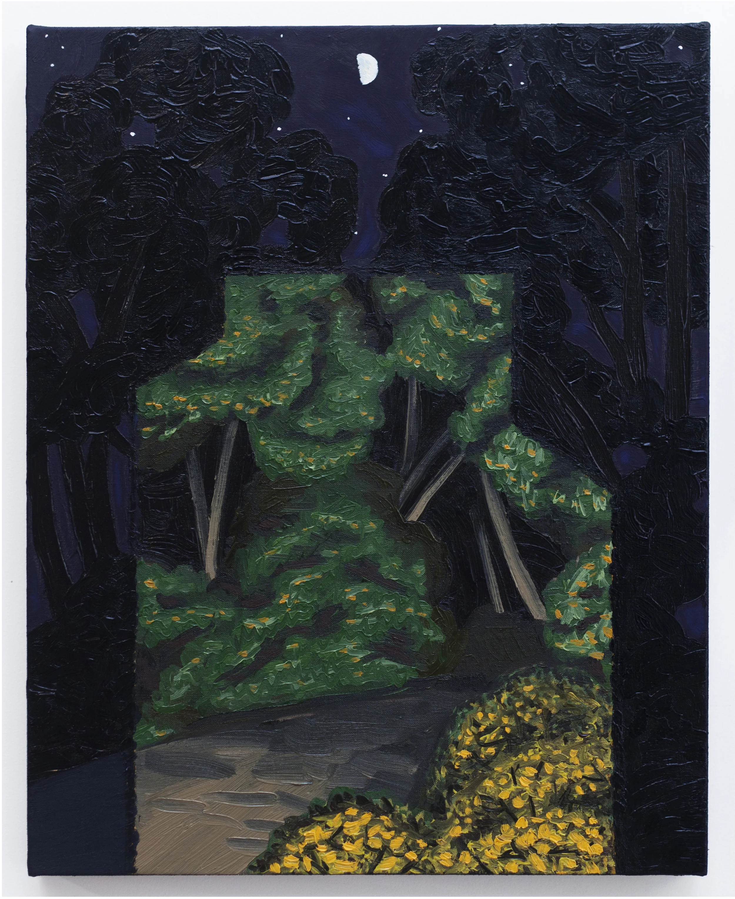 Forest Projection