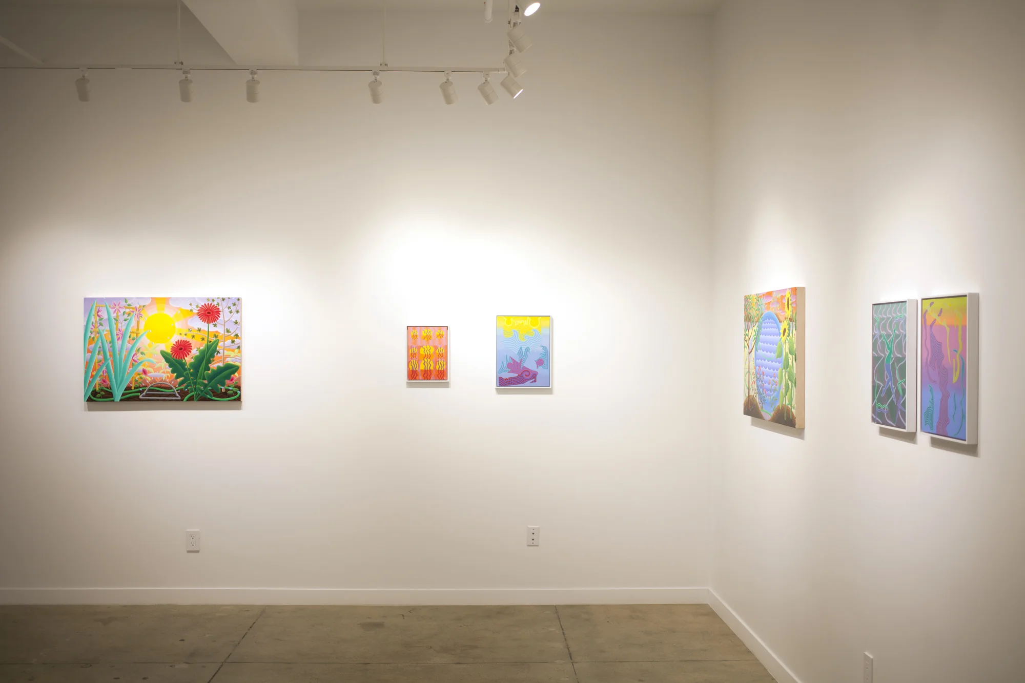 Installation images of my two-person show with Amy Lincoln, PERENNIAL VISIONS , at Project: ARTspace in 2019.
